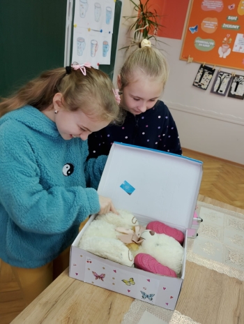 WhatsApp Image 2025-12-19 at 17.54.06 (1).jpeg