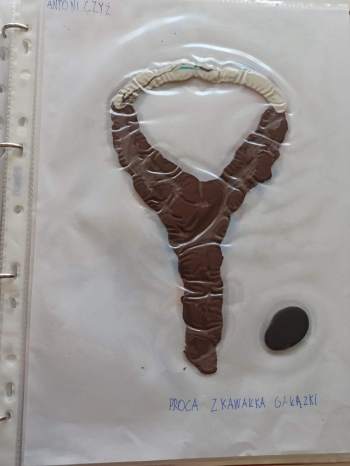 cd32d067-a22d-406e-b297-4fb79a82bd9a.jfif